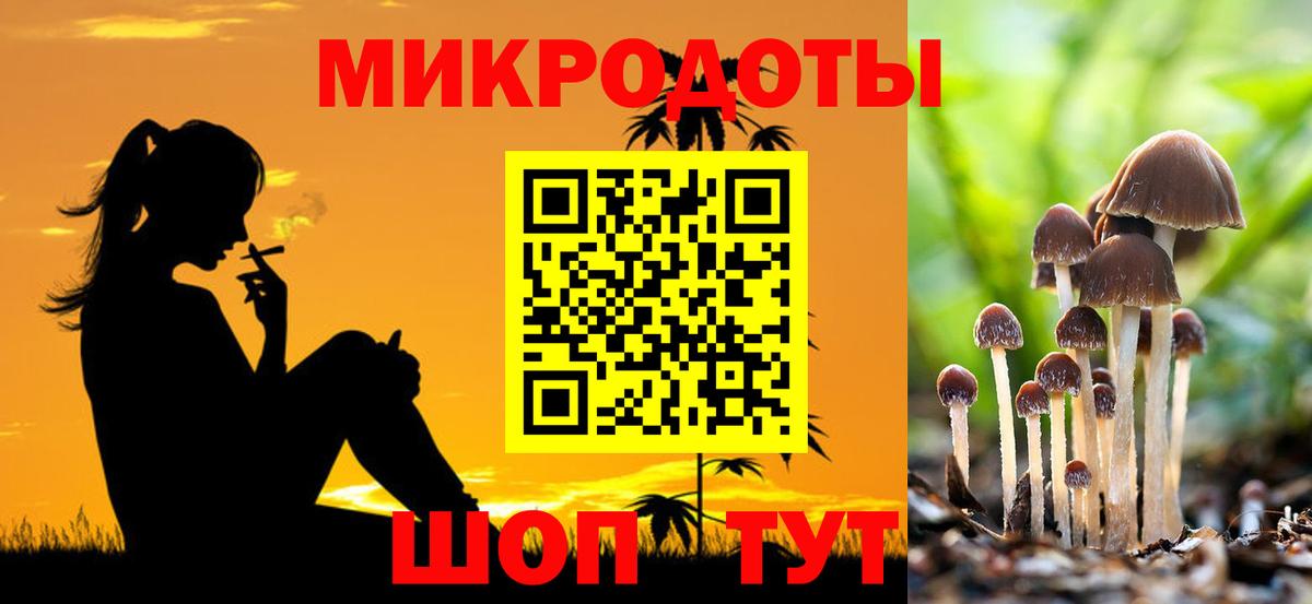 Псилоцибиновые грибы Cubensis Черкесск
