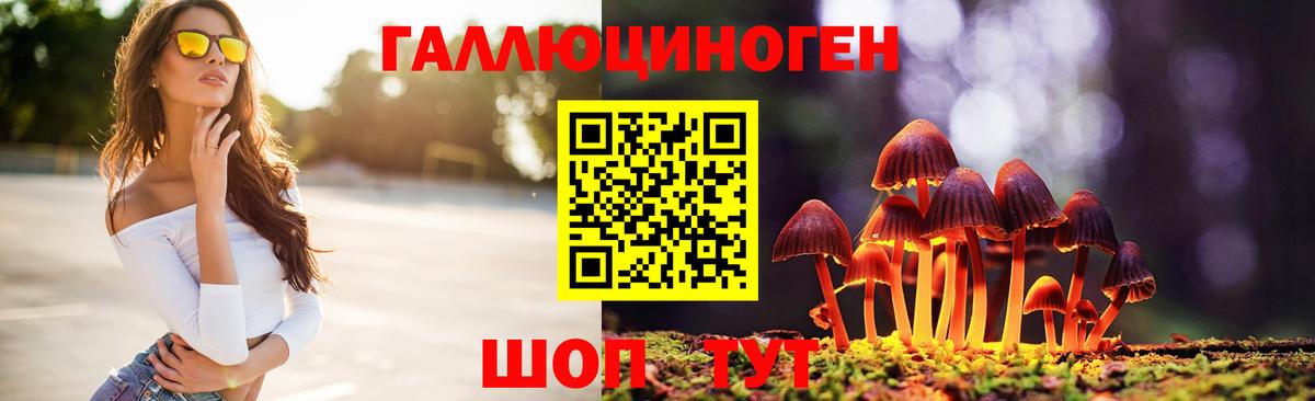 Черкесск  Галлюциногенные грибы прущие грибы  Вход с VPN 